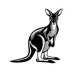 kangaroo art illustration