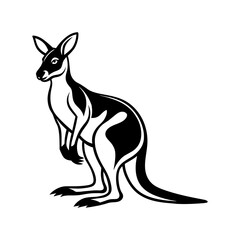 kangaroo art illustration