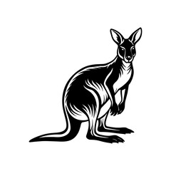 kangaroo illustration
