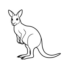 kangaroo art illustration