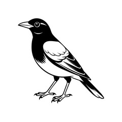 A cute bird silhouette vector