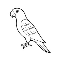 Obraz premium parrot illustration on white background