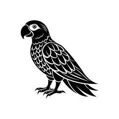 parrot illustration on white background