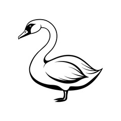 silhouette of a swan