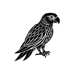 Fototapeta premium parrot illustration on white background