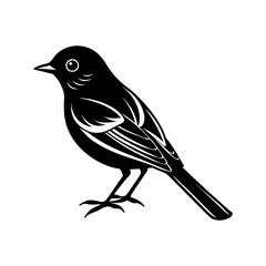 Obraz premium A cute bird silhouette vector