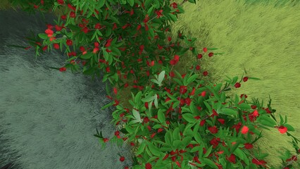 3d image of the landscape design of the home territory. Landscaping of the territory. Computer visualization of composite landscaping and landscaping solutions.