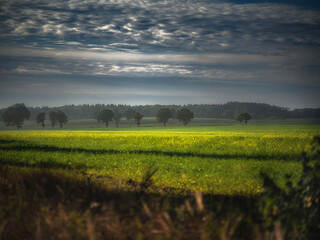 Obraz premium Chmury nad polami