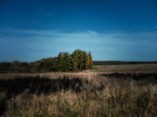 Obraz premium Jesień