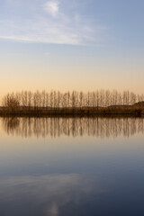 Obraz premium reflection of trees at sunset, river with reflection