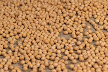 uncooked healthy grains of chickpeas porridge