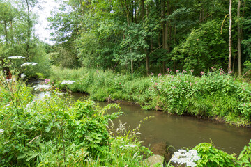 Fluss Landschaft an der Inde in Münsterbusch
