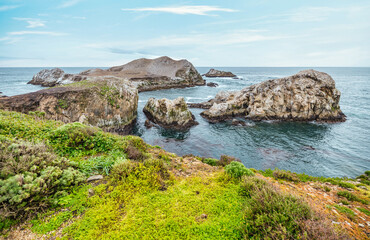 Point Lobos State Natural Reserve, Carmel, Monterey County, California, United States of America