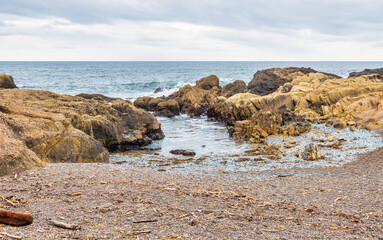 Point Lobos State Natural Reserve, Carmel, Monterey County, California, United States of America
