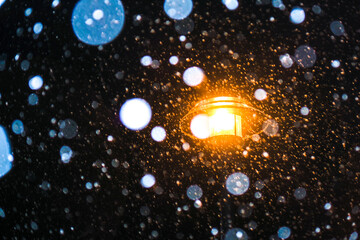 Snow by Lamp Light