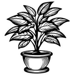 Plant in Pot Vector Illustration