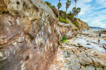 Laguna Beach ocean shoreline with palm trees at Treasure Island Park, Orange County, California USA