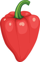 Bell pepper. Cartoon red sweet paprika, fresh organic vegetable for cooking and healthy eating. Vector colorful food vegetable illustration