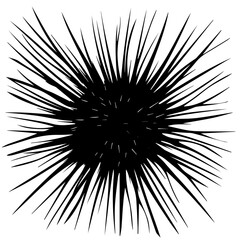 Sea Urchin Black Vector Illustration