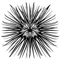 Sea Urchin Black Vector Illustration