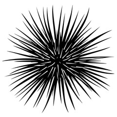 Sea Urchin Black Vector Illustration