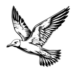 Seagull Black Vector Illustration