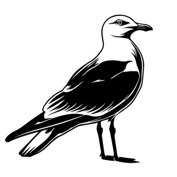 recommend clip art: Seagull Black Vector Illustration