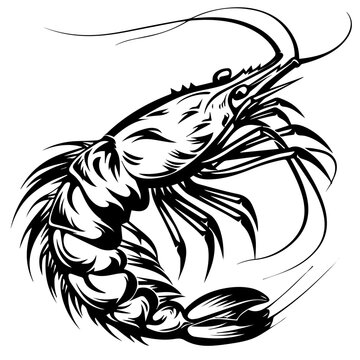 recommend clip art: Shrimp Black Vector Illustration