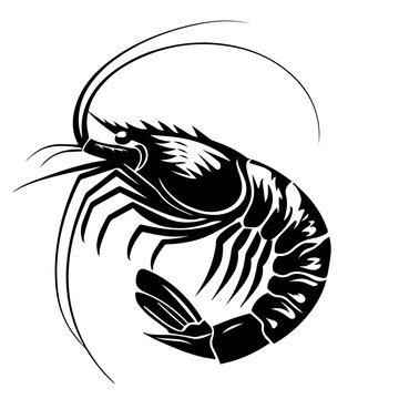 recommend clip art: Shrimp Black Vector Illustration