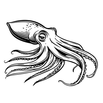 recommend clip art: Squid Black Vector Illustration