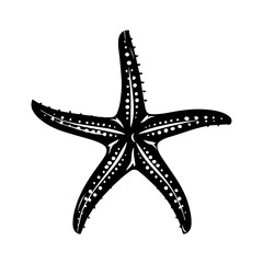 Starfish Vector Illustration