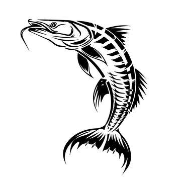 recommend clip art: Sturgeon Fish Black Vector Illustration
