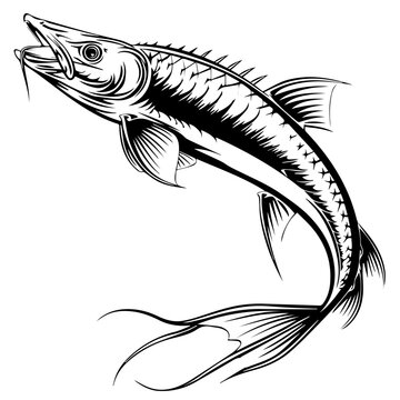 recommend clip art: Sturgeon Fish Black Vector Illustration