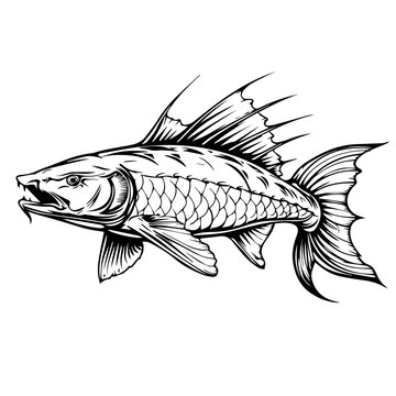 recommend clip art: Sturgeon Fish Black Vector Illustration
