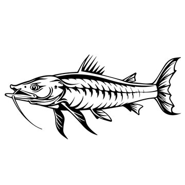 recommend clip art: Sturgeon Fish Black Vector Illustration