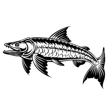 recommend clip art: Sturgeon Fish Black Vector Illustration