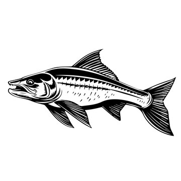black and white fish swimming clip art preview
