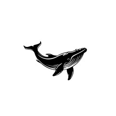 Silhouette of a Humpback Whale Swimming