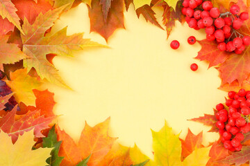 Frame of bright autumn leaves