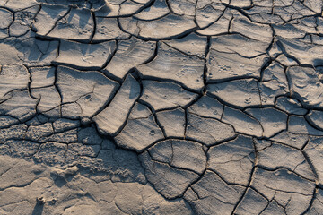 Dried mud texture. Dried mud waves from the mud volcanos site in Berca, Buzau, Romania.