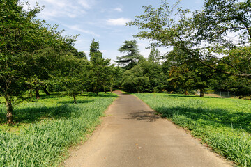 path in the park