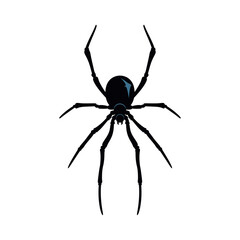Vector Spider Cartoon Retro Style Illustration Isolated