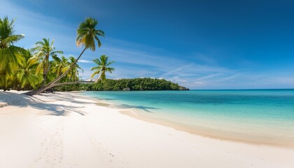 tropical island and sand beach exotic travel background