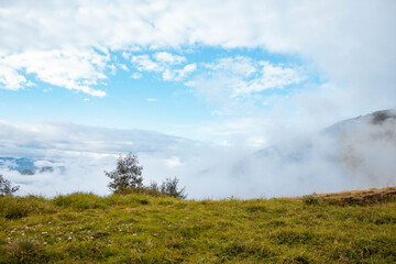 Paisaje Panorámico con Espacio Promocional en un Entorno Natural