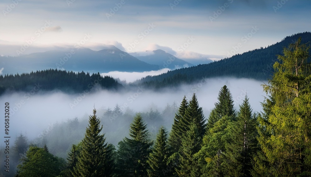 Canvas Prints fogy forests and fog with trees and mountains