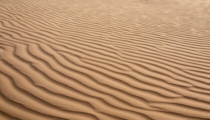 Fototapeta premium horizontal sand texture for pattern and background
