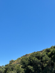 green trees on a mountain with a blue sky background
