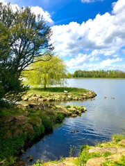 Fototapeta premium lake in the forest