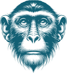 monkey tattoo vector