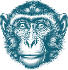 monkey tattoo vector